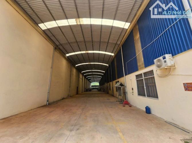 Cho Thuê Nhà Xưởng 10.800m2 tại Bến Cát Bình Dương - 3