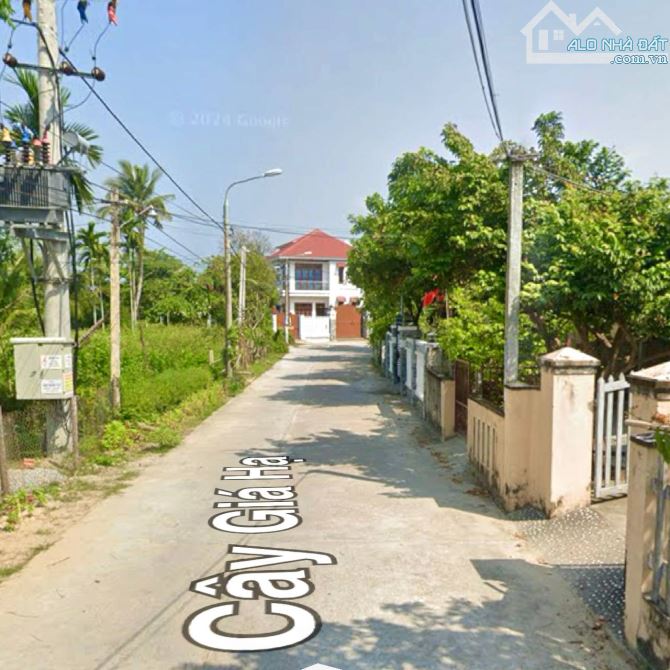 BÁN ĐẤT 2 MẶT TIỀN - CÂY GIÁ HẠ, HỘI AN, ĐÀ NẴNG - 3