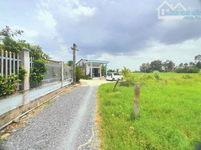 Hàng ngộp, 147m2 đất thổ cư đường ô tô Huỳnh văn đảnh, 450tr - 3