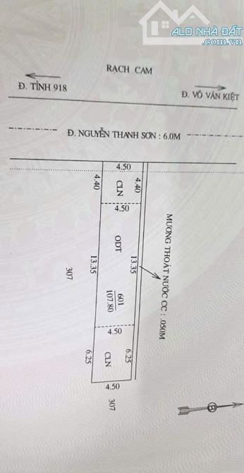 BÁN NỀN MẶT TIỀN ĐƯỜNG NGUYỄN THANH SƠN CÁCH CHỢ RẠCH CAM BÙI HỮU NGHĨA CHỈ 500M - 3