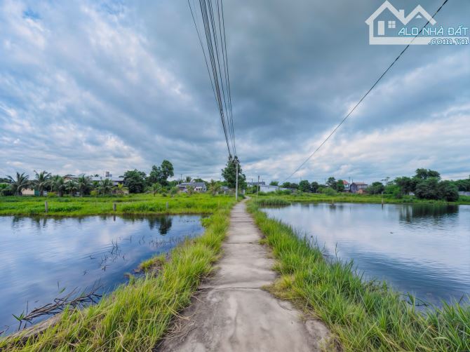 🌴 BÁN ĐẤT - HẺM LÝ THÁI TỔ - MẶT TIỀN DÀI 39M - GIÁ 1 TỶ 800 TRIỆU 🦐 - 3