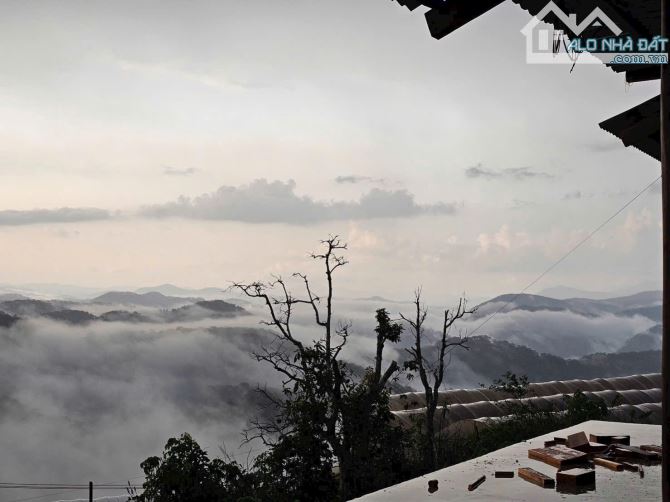 BÁN ĐẤT CÓ NHÀ GỖ SIÊU XINH VIEW THÔNG, SĂN MÂY 1200M2 SR GIÁ CHỈ 3 TỶ - 3