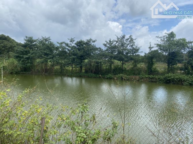 cần bán 5 sào đất phía sau có tiếp giáp hồ lớn phù hợp làm nhà vườn - 3