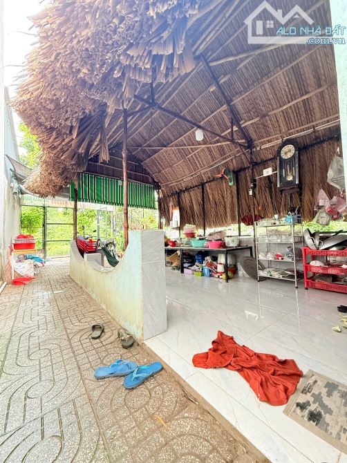 đất 94,9m2 2ty850 TL  tặng kèm nhà gần KDC Tứ Hải, p.Tân Đông Hiệp, - 3