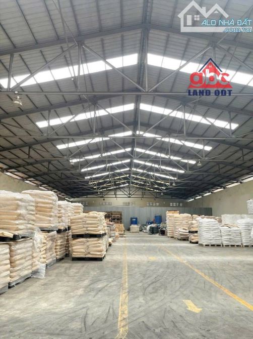 XT340 Cho thuê kho 12.000m2 trong kcn sóng thần 1 Mặt Tiền Đường Chính - 3