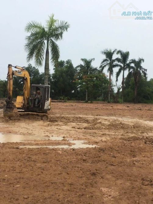 Cần Bán Nhanh Lô Đất 7000m² (Có 300m² Thổ Cư) Kèm Nhà Cấp 4, Mặt Tiền Đường Nhựa Cá Lăng, - 3