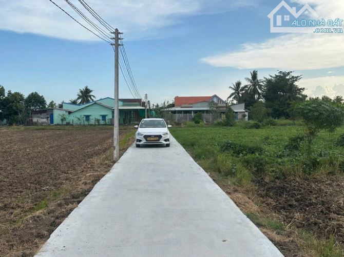 Cần bán đất thổ 186m tại Bình Tịnh, Tân Trụ cũ, (Tân Trụ, Tây Ninh mới) - 3