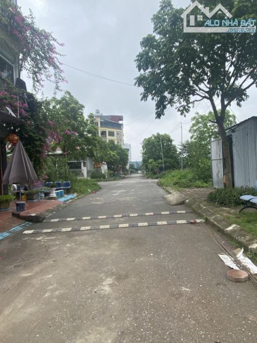 Bán gấp đất TĐC Ngọc Hồi  Vũ Lăng ô tô tránh ,phân lô ,vỉa hè ,kinh doanh đỉnh giá 9.3 tỷ - 3