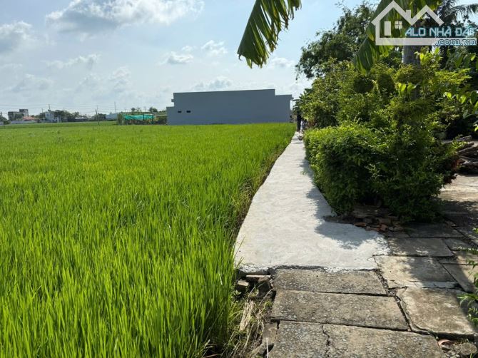 Bán đất chính chủ đất thổ cư sổ hồng riêng giá 430 triệu - 3