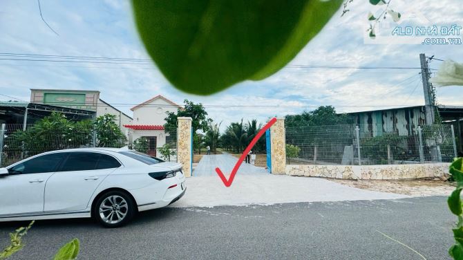 2135M2 VƯỜN DỪA SUM SUÊ NGAY NHÀ THỜ HỒ TRÀM- CÁCH PHỐ ĐI BỘ HƠN 1KM - 3