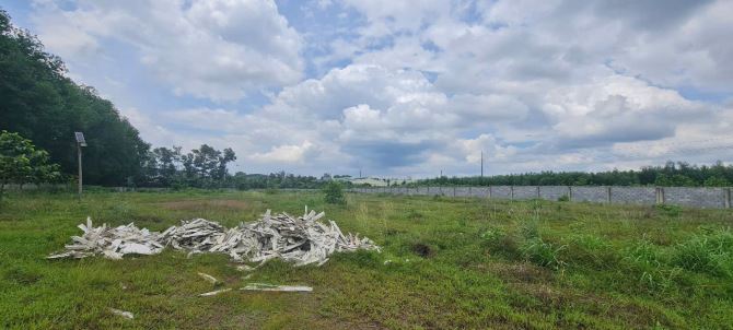 Bán xưởng sản xuất tại Long Thành, Đồng Nai, 16.000m2, giá 55 tỷ. - 4