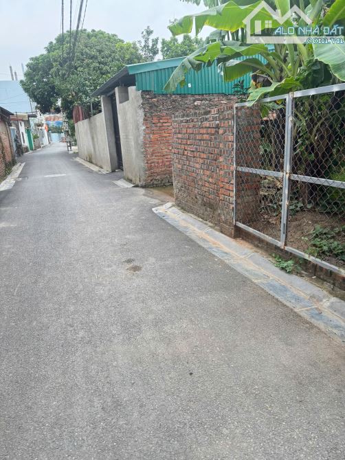 BÁN ĐẤT GẦN HỒ DU NỘI – MAI LÂM ĐÔNG ANH 46M² – VIEW SIÊU ĐẸP GẦN  DỰ ÁN CẦU TỨ LIÊN - 4