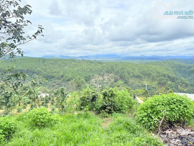 BÁN ĐẤT CÓ NHÀ GỖ SIÊU XINH VIEW THÔNG, SĂN MÂY 1200M2 SR GIÁ CHỈ 3 TỶ - 4