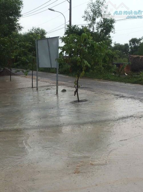 Cần Bán Nhanh Lô Đất 7000m² (Có 300m² Thổ Cư) Kèm Nhà Cấp 4, Mặt Tiền Đường Nhựa Cá Lăng, - 4