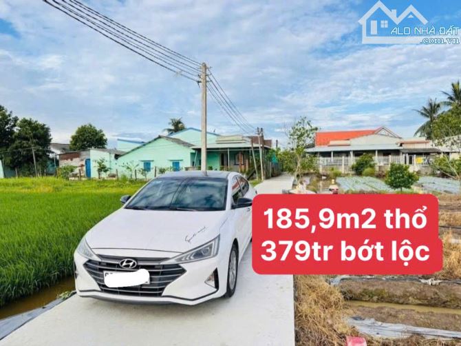 Cần bán đất thổ 186m tại Bình Tịnh, Tân Trụ cũ, (Tân Trụ, Tây Ninh mới) - 4