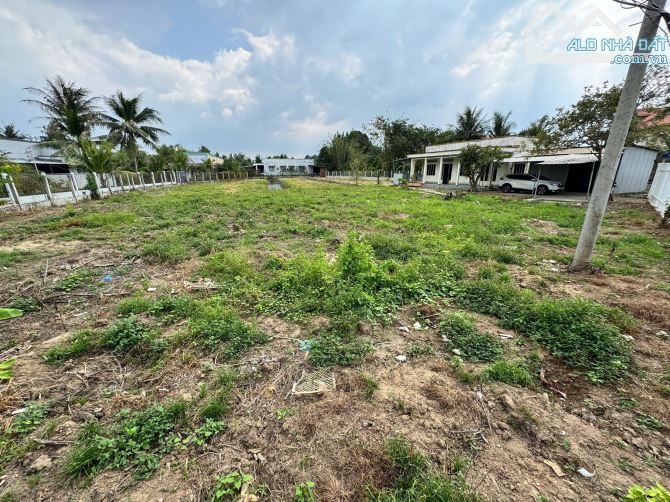 HƠN 3600M2 ĐẤT CÓ THỔ CƯ ĐƯỜNG Ô TÔ GẦN LỘ NHỰA PHÚ TỰ - 4