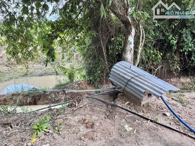 Bán đất vườn Suối Tiên, Diên Khánh. Giá 350k/m2 - 5
