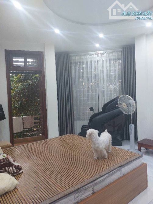 Bán nhà lô góc tk kiểu biệt thự phố đặng vũ hỷ ,vỉa hè ô tô tránh kd - 5