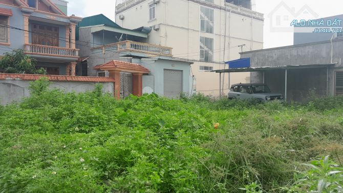 Bán đất đường Hoa Động, Hoàng Lâm, Thủy Nguyên HP. 1,8 tỷ, 83m2. - 5