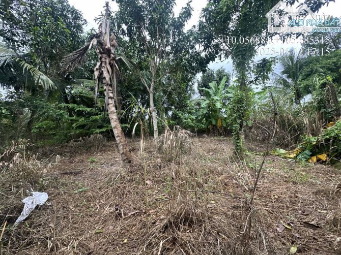 🌲🌲BÁN KHU NGHĨ DƯỠNG CÓ SẴNG CĂN NHÀ TRỆT MỚI TRÊN ĐẤT - GẦN QUỐC LỘ 91B – HOẶC XÂY TRỌ, - 5