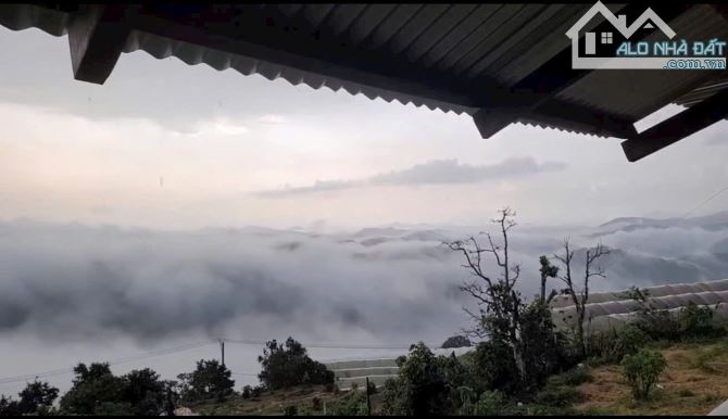 BÁN ĐẤT CÓ NHÀ GỖ SIÊU XINH VIEW THÔNG, SĂN MÂY 1200M2 SR GIÁ CHỈ 3 TỶ - 5