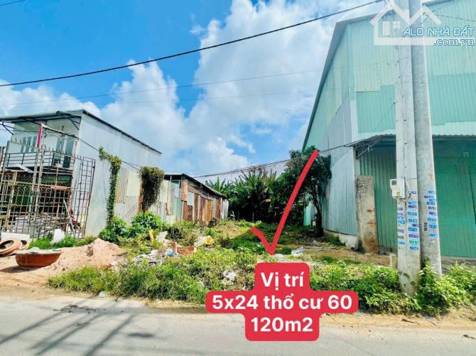 🔺TRUNG TÂM XÃ ĐẤT ĐỎ TP HỒ CHÍ MINH DÂN CƯ ĐÔNG ĐÚC BUÔN BÁN GẦN BIỂN  DT 120m2 5x24m 60t - 5