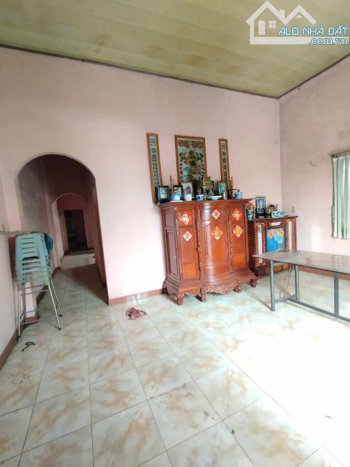 🏠HÓC MÔN MẶT TIỀN TÂN XUÂN 2 XÃ TÂN XUÂN NHÀ SÂN VƯỜN NGANG 9/11x30=338m2 CN 300m2 GIÁ CH - 6