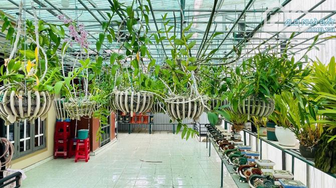 ✨ Villa Sân Vườn Đà Lạt đường xe 7 mét, 328.6m² ngang 13.5m, dài 24m Lữ Gia, P.09, Đà Lạt - 6