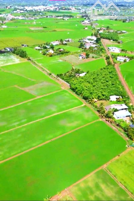Hàng Thơm, 830m² đất thổ View Kênh KDC Mỹ Thạnh, 1.1 tỷ - 6