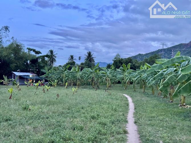 Bán đất vườn Suối Tiên, Diên Khánh. Giá 350k/m2 - 6