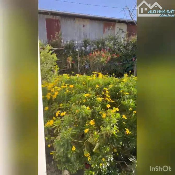 cho thuê khu 3 căn villa tổng 11 phòng phường 6 đà lạt 50 triệu/tháng - 6