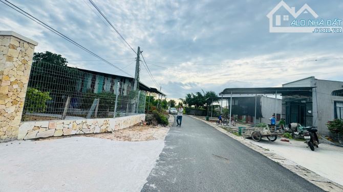 2135M2 VƯỜN DỪA SUM SUÊ NGAY NHÀ THỜ HỒ TRÀM- CÁCH PHỐ ĐI BỘ HƠN 1KM - 6