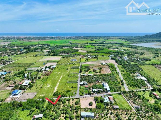 VƯỜN XOÀI THỊ TRẤN PHƯỚC HẢI- GẦN BIỂN PHƯỚC HẢI - LONG ĐẤT - BRVT 🌈DT 10mx50m - 500m2 -1 - 6