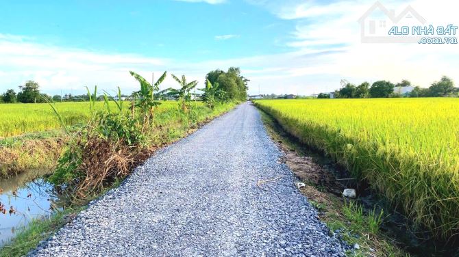 Hàng Thơm, 830m² đất thổ View Kênh KDC Mỹ Thạnh, 1.1 tỷ - 7