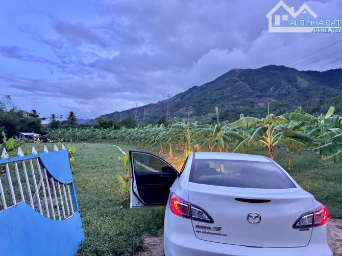 Bán đất vườn Suối Tiên, Diên Khánh. Giá 350k/m2 - 7