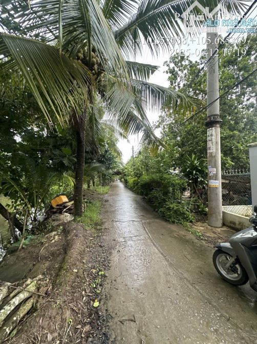 🌲🌲BÁN KHU NGHĨ DƯỠNG CÓ SẴNG CĂN NHÀ TRỆT MỚI TRÊN ĐẤT - GẦN QUỐC LỘ 91B – HOẶC XÂY TRỌ, - 8