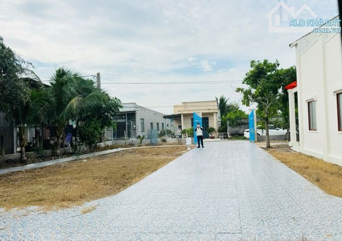 2135M2 VƯỜN DỪA SUM SUÊ NGAY NHÀ THỜ HỒ TRÀM- CÁCH PHỐ ĐI BỘ HƠN 1KM - 8