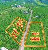 💥 1ha cà phê Bàu Cạn bám 200m mặt đường nhựa