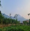 Đất siêu đẹp thôn Bài, Yên Bài, Ba Vì 1302m, 200tc, view đồng, nhìn trọn v núi, chỉ 7tr/m2