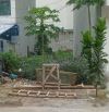 PHÂN LÔ - VỈA HÈ - ĐƯỜNG Ô TÔ TRÁNH - CẠNH ĐẠI HỌC TÀI NGUYÊN MÔI TRƯỜNG - PHÚ DIỄN.