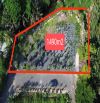 HXH 7M - LINH ĐÔNG - THỦ ĐỨC - ĐẤT VƯỜN - 1490M2