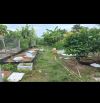 BÁN ĐẤT THỔ 130MV, CHÍNH CHỦ PHƯỜNG 5 TP TÂN AN LONG AN