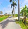 Hàng ngộp, 147m2 đất thổ cư đường ô tô Huỳnh văn đảnh, 450tr