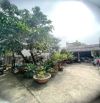 Bán đất 4x12m đường Linh Hoà Tự, xã Đa Phước, H.Bình Chánh. Giá: 1.5 tỷ