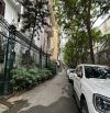 🏰 BÁN SIÊU BIỆT THỰ GIẢNG VÕ – BA ĐÌNH, DT 131m², 4 TẦNG, MT 11m, GIÁ 64 TỶ (TL) 🏰