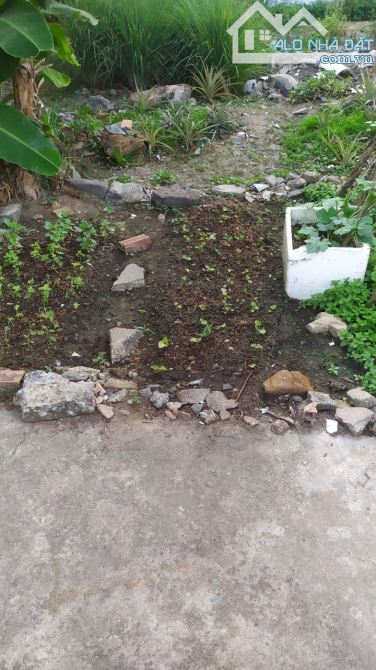Giá chỉ 4 tỷ 250. Bán đất gần sông mặt tiền Bình Hoà, Vĩnh Cửu. 12x38m 490m SHR. - 2