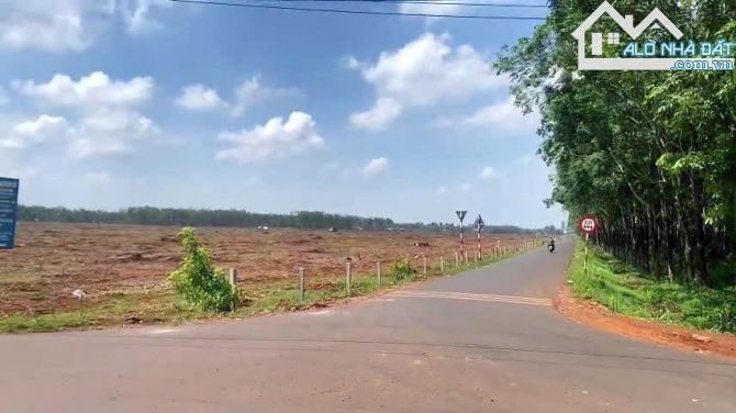 LÔ ĐẤT 5.8HA 2 MẶT TIỀN ĐƯỜNG NHỰA TÂN LÂM, SẴN THỔ CƯ, GIÁ CỰC RẺ CHỈ 400 TRIỆU/SÀO - 5