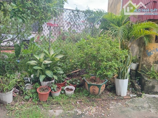 Đất Đông Dư, ô tô ngủ trong đất, ngõ thông, gần hồ điều hòa, 56m2 giá 5ty95 thương lượng