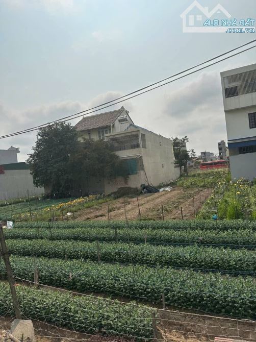 Bán đất tđc Đồng Rứa,  Lũng Đông, Nam Hải, Hải An120m2 giá chỉ có 4 7 tỷ