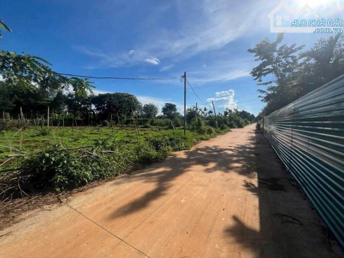 BÁN LÔ ĐẤT THUỘC HẺM CẤP 1 VÀNH ĐAI 14-28 GẦN UỶ BAN PHƯỜNG TÂN AN
